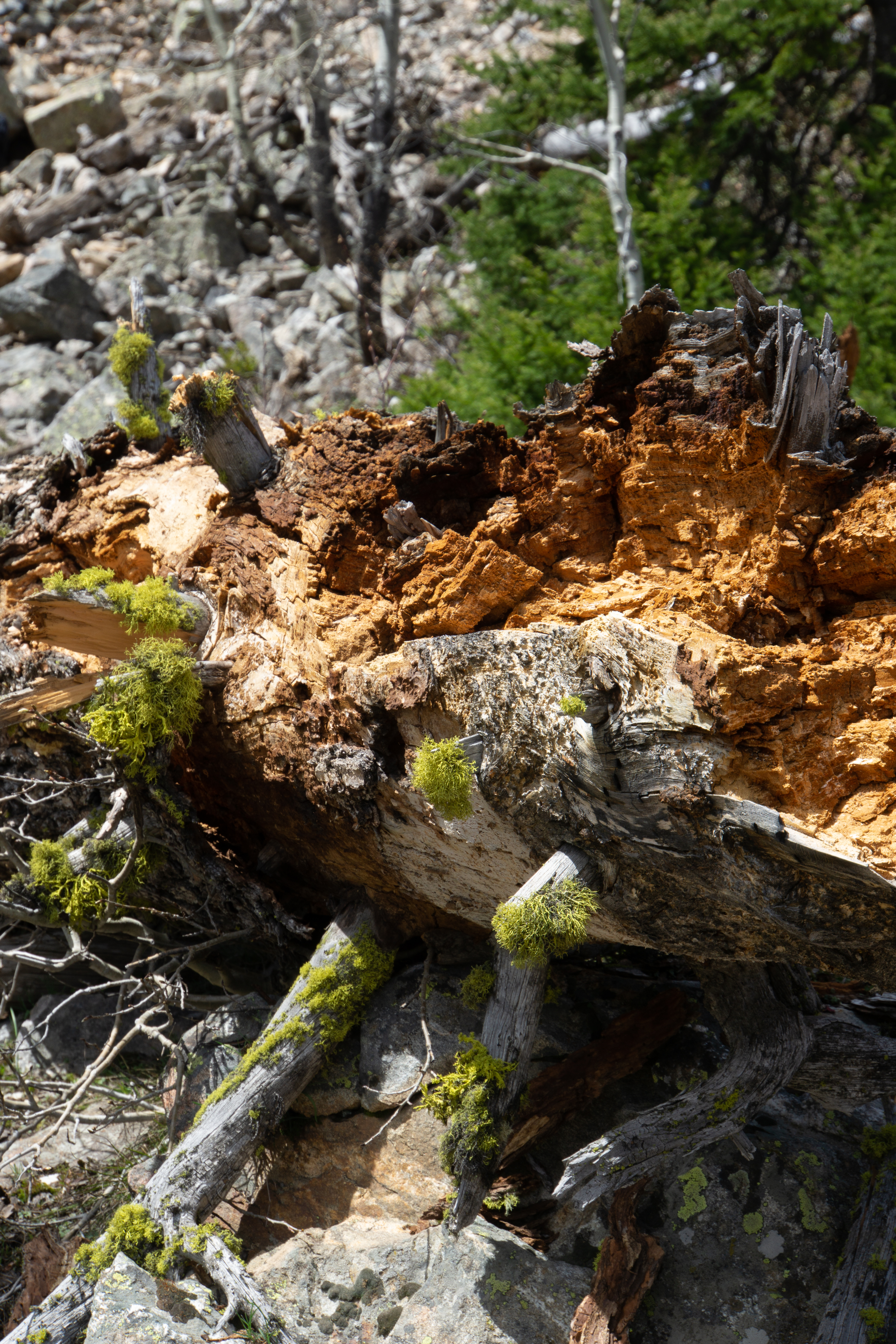 US National Parks 2022 33